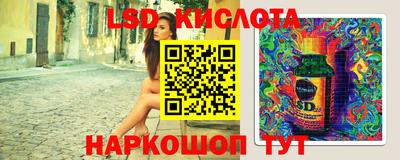 СК Канаш