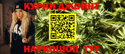 гидра Камышлов