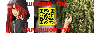 гидра Камышлов