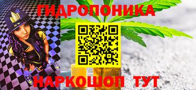 СК Канаш